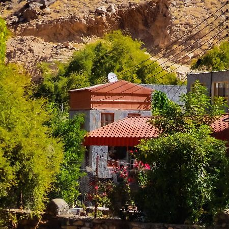 Bait Bimah Travel Lodge Dış mekan fotoğraf